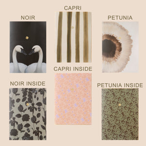 Mini Notebooks (Packs of 2)